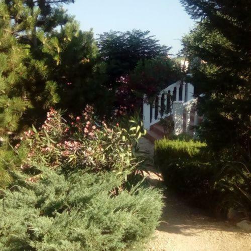 Villa Adriana Apartments Rab Town Exterior photo